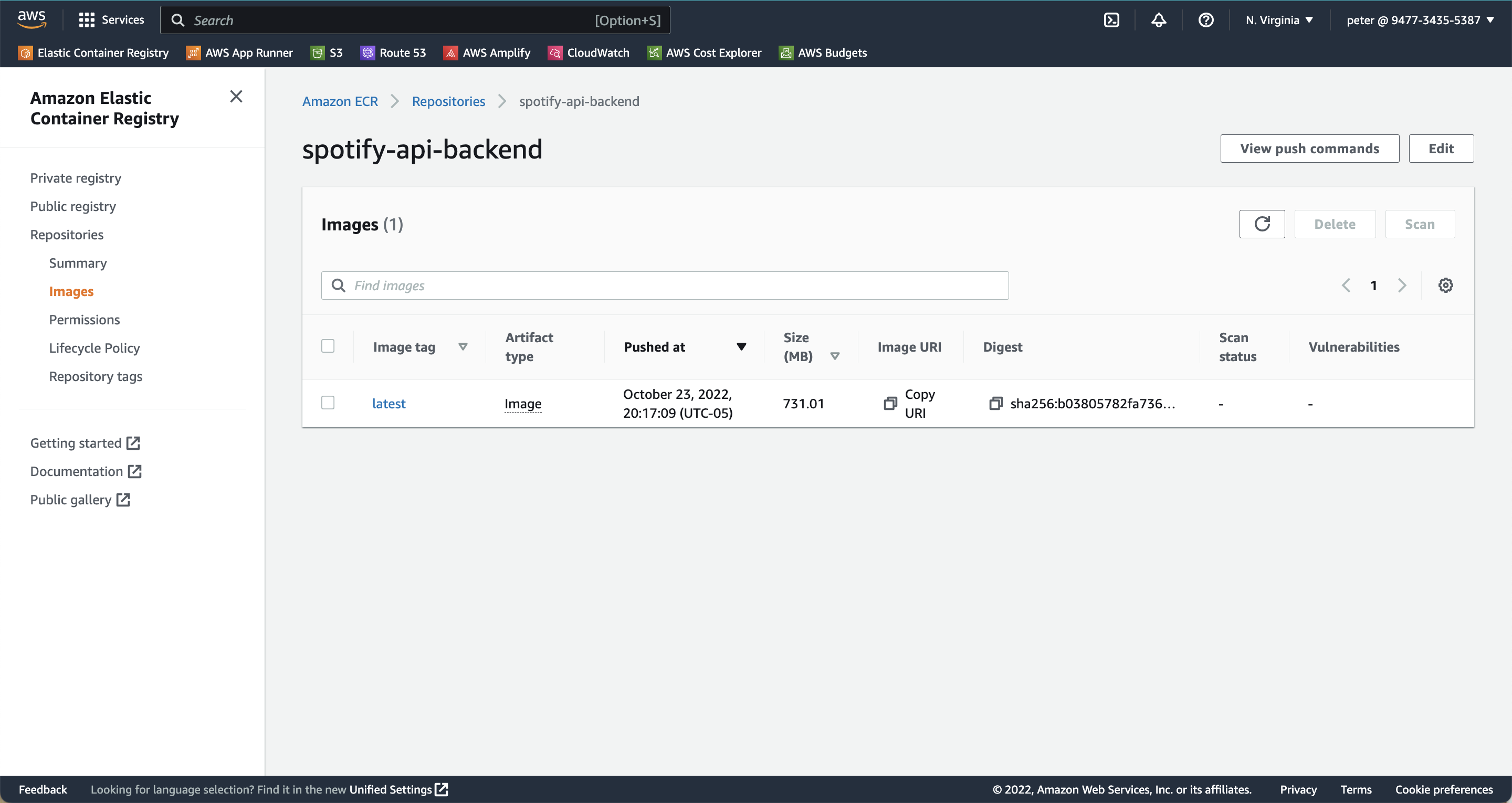 Screenshot 2022-11-19 at 7.56.46 AM